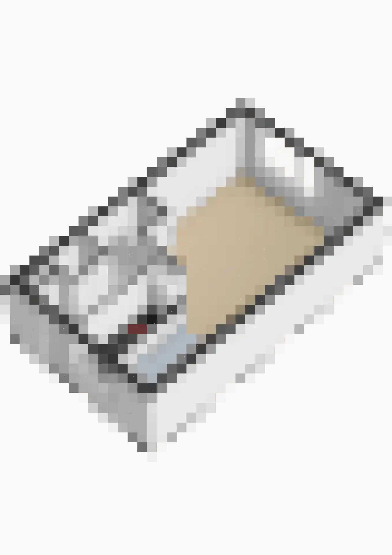 Leendert Tulplaan 11 Ede thumbnail 25