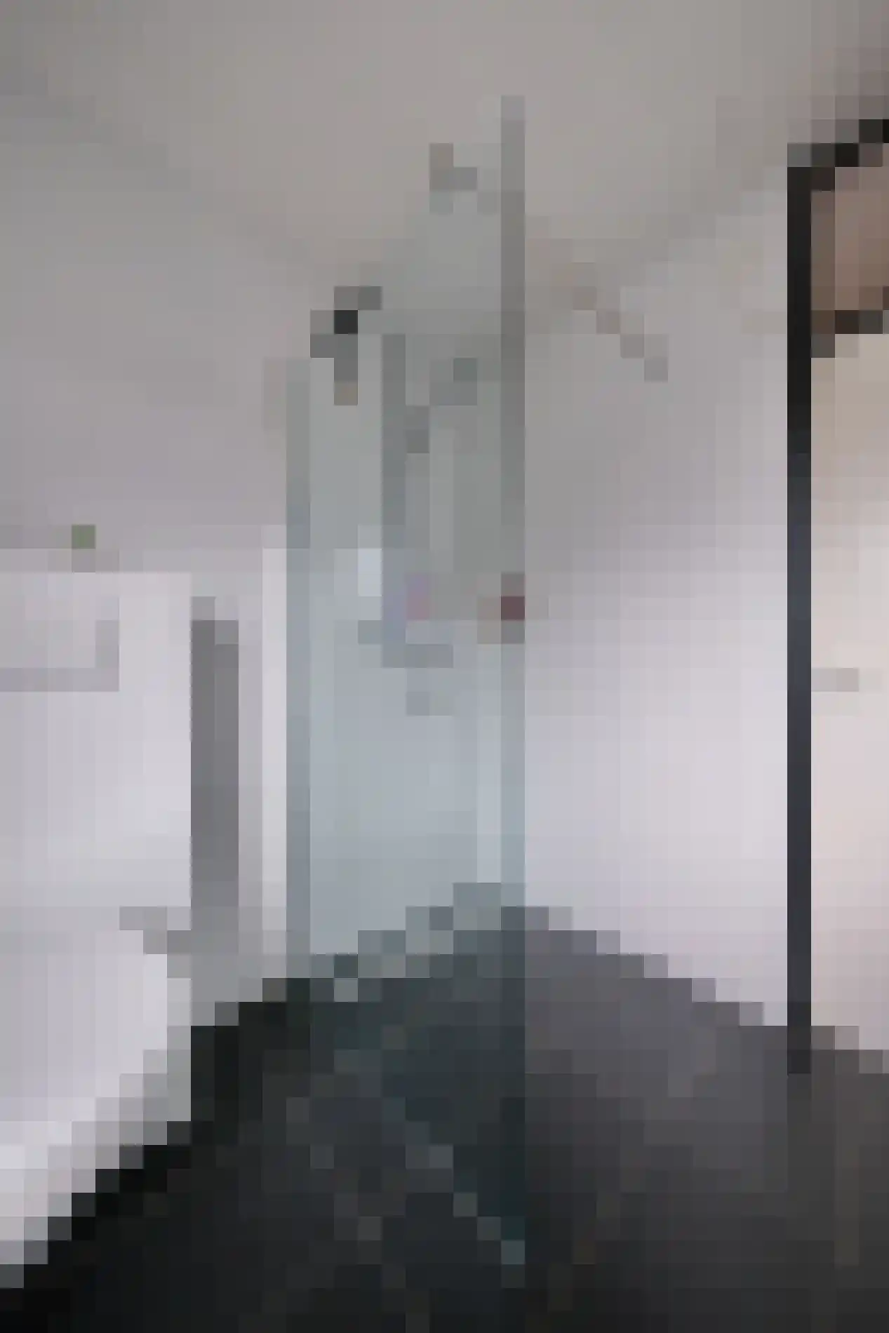 Leendert Tulplaan 15 Ede thumbnail 18