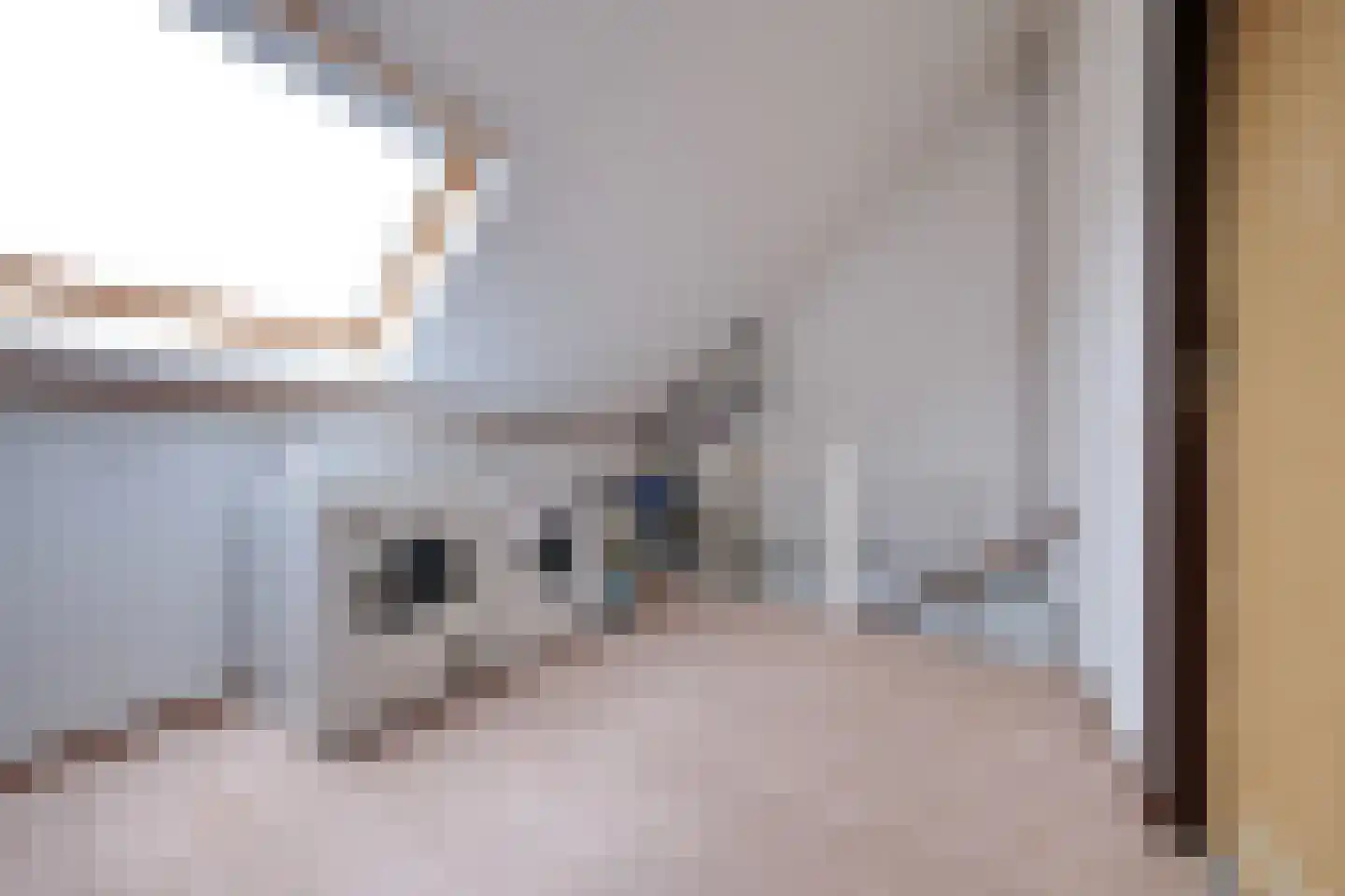 Leendert Tulplaan 15 Ede thumbnail 20
