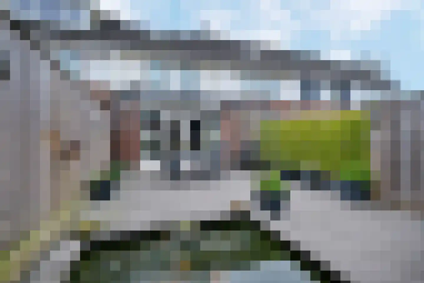 Leendert Tulplaan 15 Ede thumbnail 22