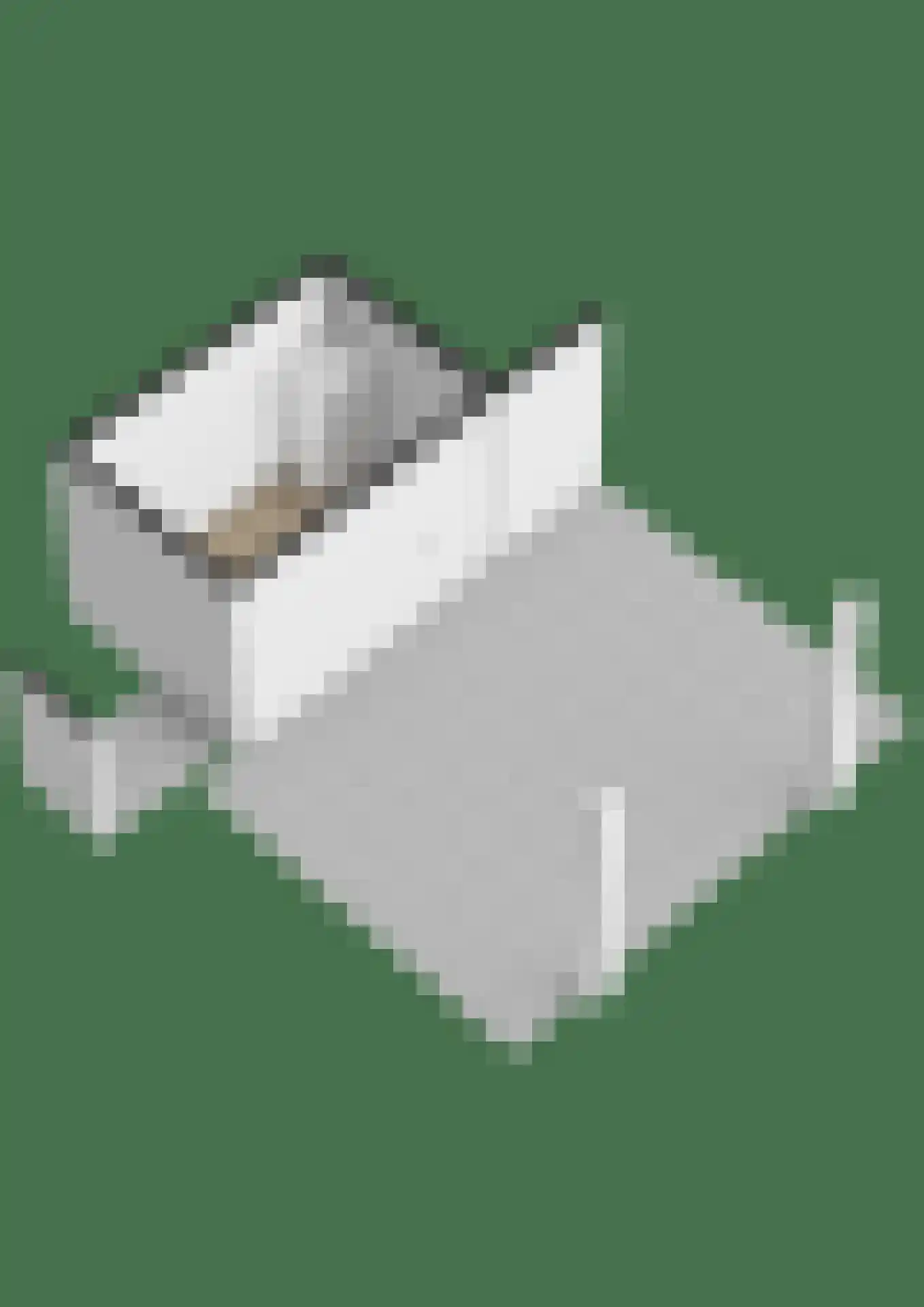 Leendert Tulplaan 15 Ede thumbnail 34