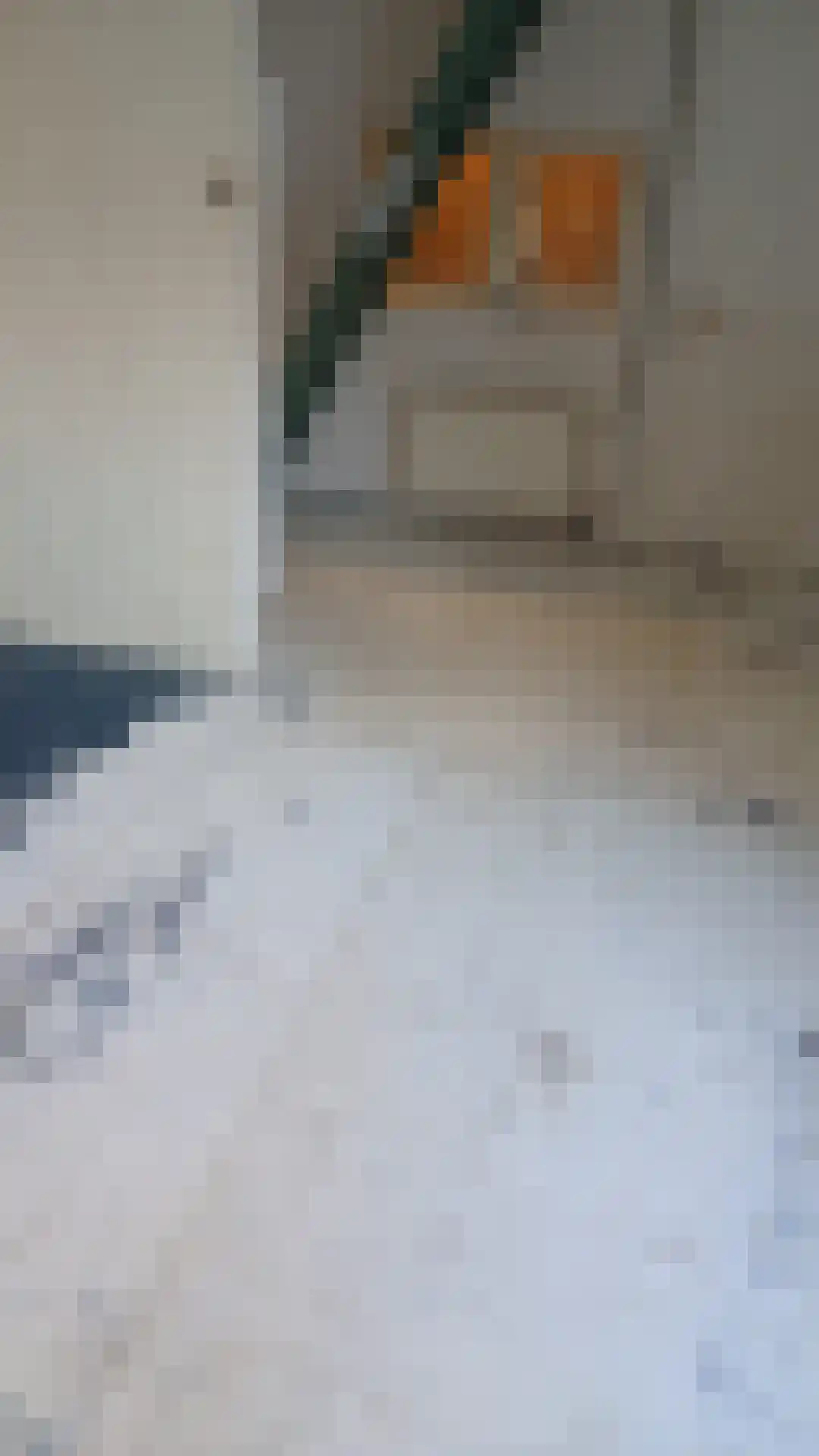 Leendert Tulplaan 6 A Ede thumbnail 4