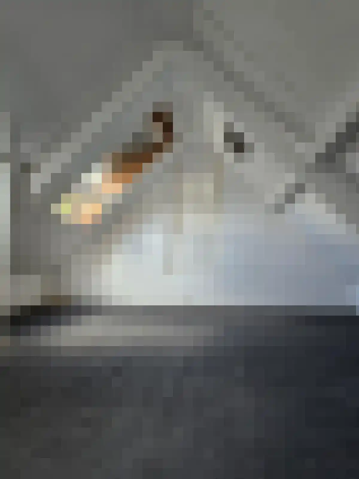 Leendert Tulplaan 6 A Ede thumbnail 8
