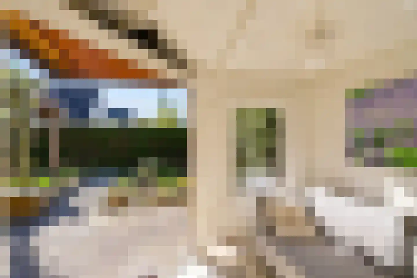 Leendert Valstarstraat 19 Almere thumbnail 50