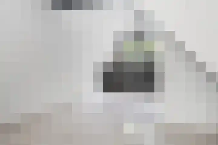 Leendert Valstarstraat 5 Vlaardingen thumbnail 17