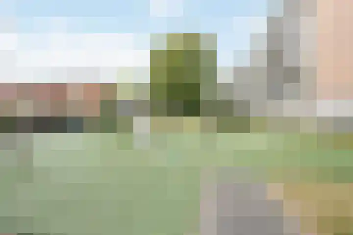 Leendert Valstarstraat 5 Vlaardingen thumbnail 42