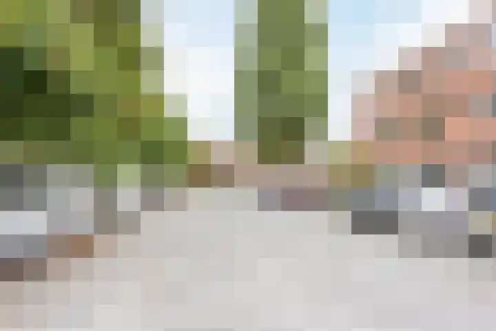 Leendert Valstarstraat 5 Vlaardingen thumbnail 9