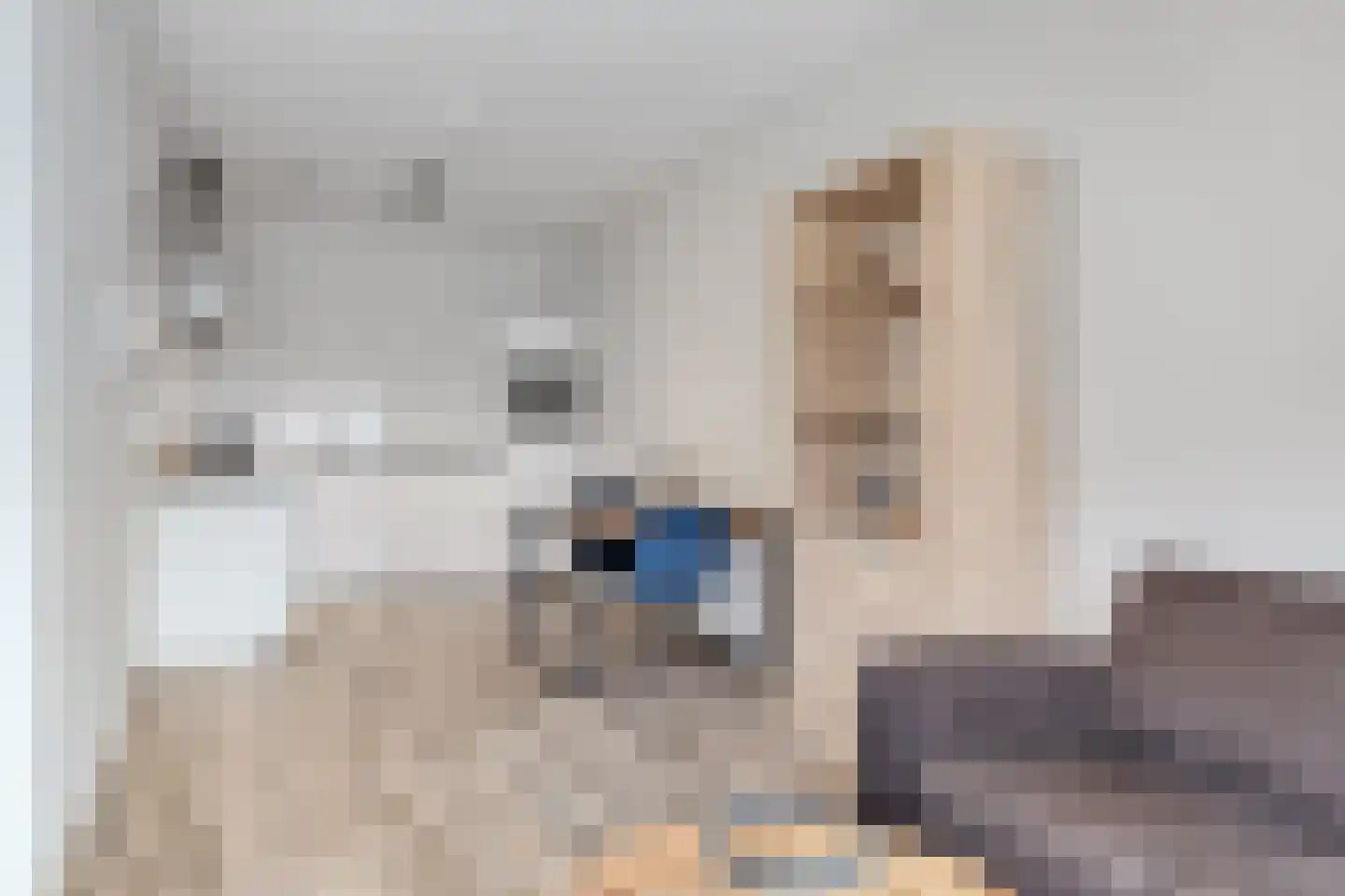 Leenderweg 100 Eindhoven thumbnail 5