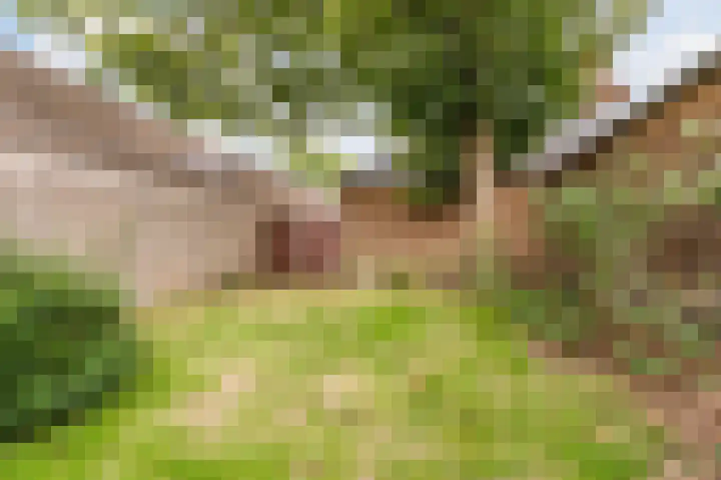 Leenderweg 107 Valkenswaard thumbnail 63