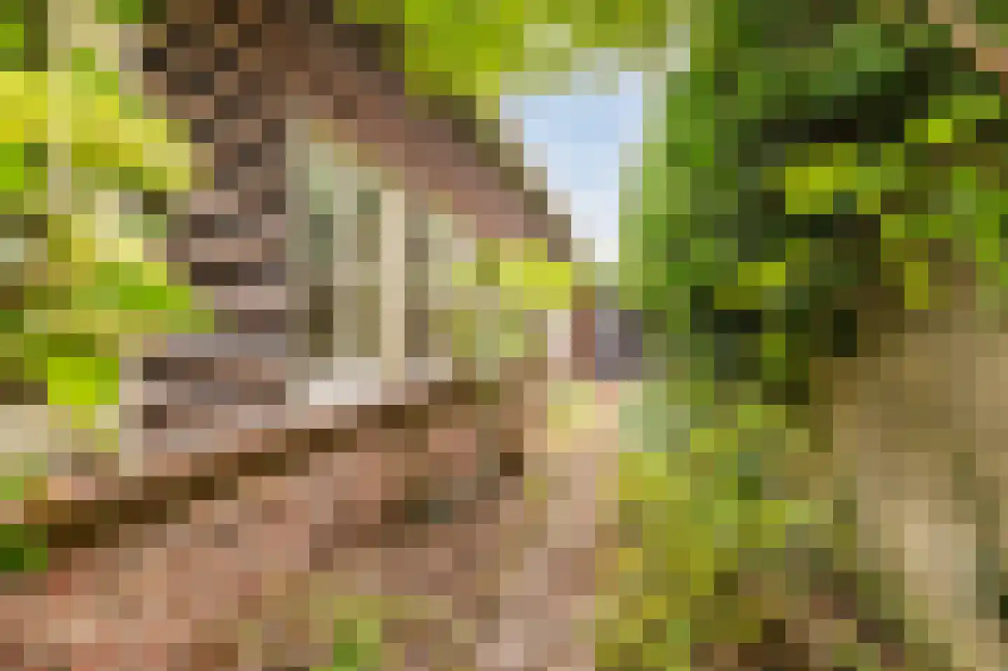 Leenderweg 107 Valkenswaard thumbnail 64