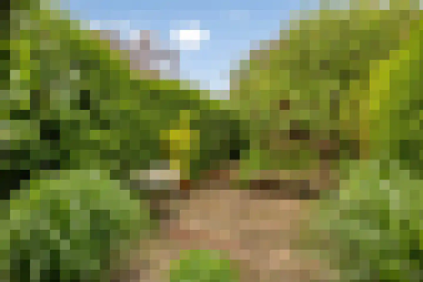 Leenderweg 190 Eindhoven thumbnail 63