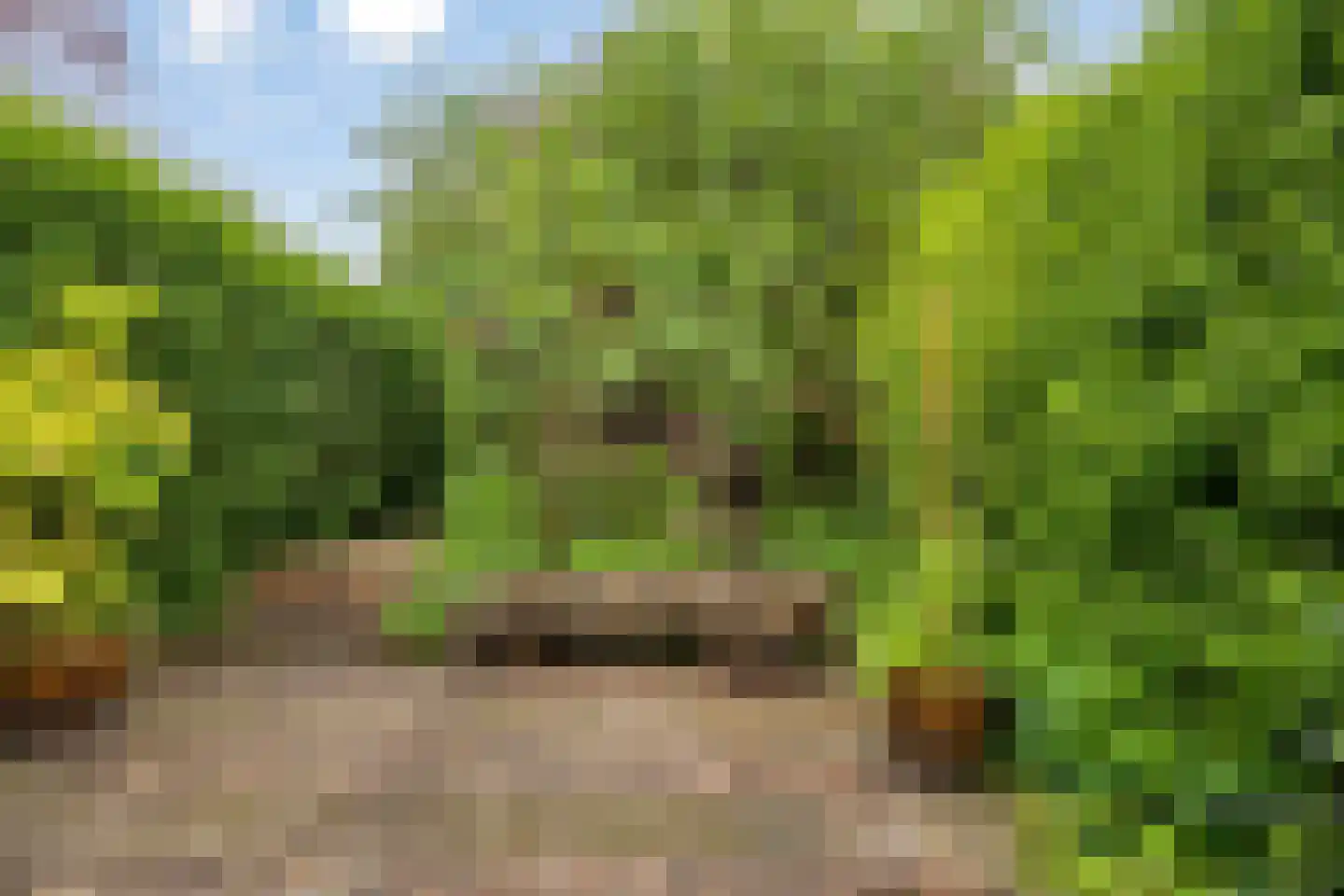 Leenderweg 190 Eindhoven thumbnail 64