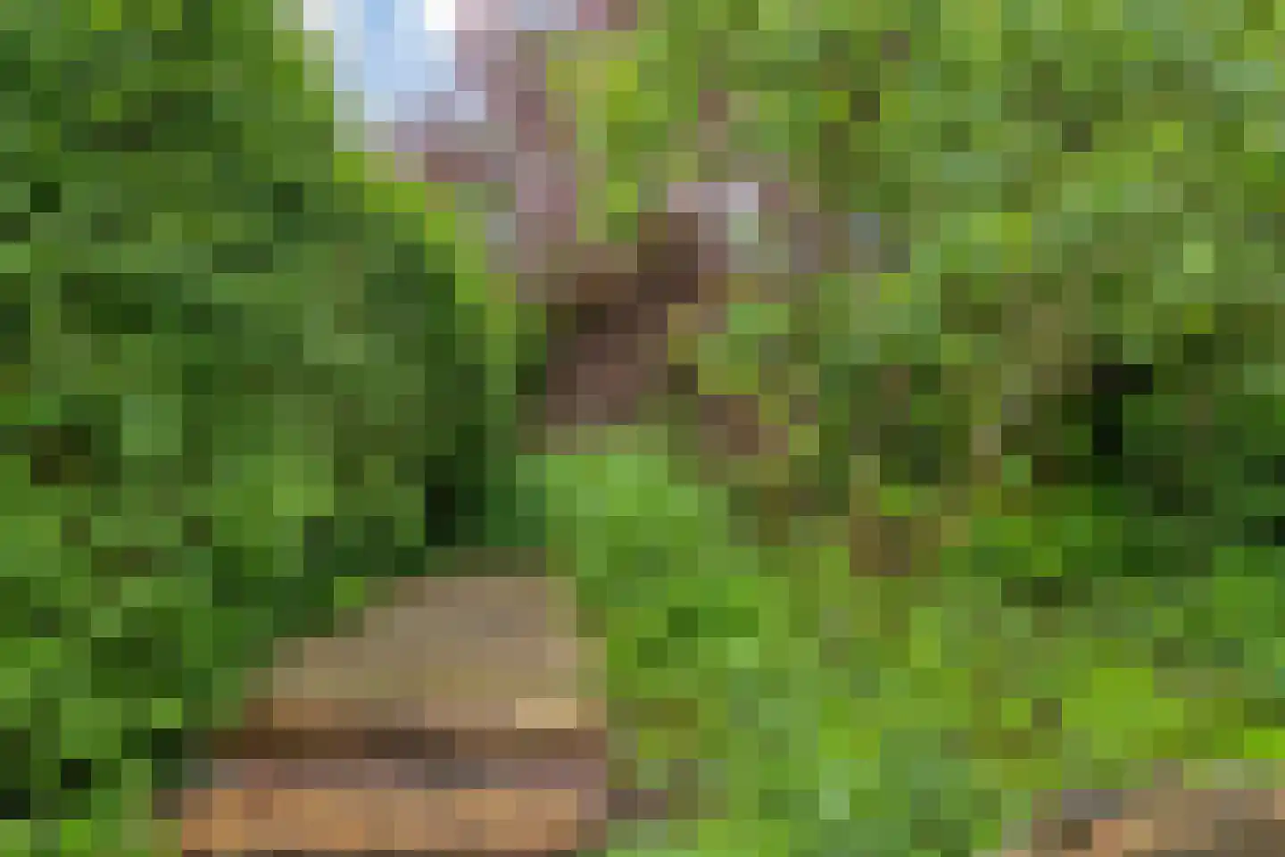 Leenderweg 190 Eindhoven thumbnail 65