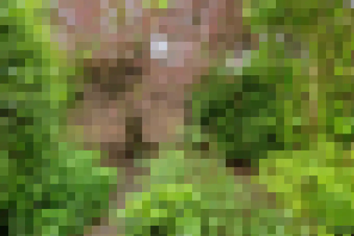 Leenderweg 190 Eindhoven thumbnail 66