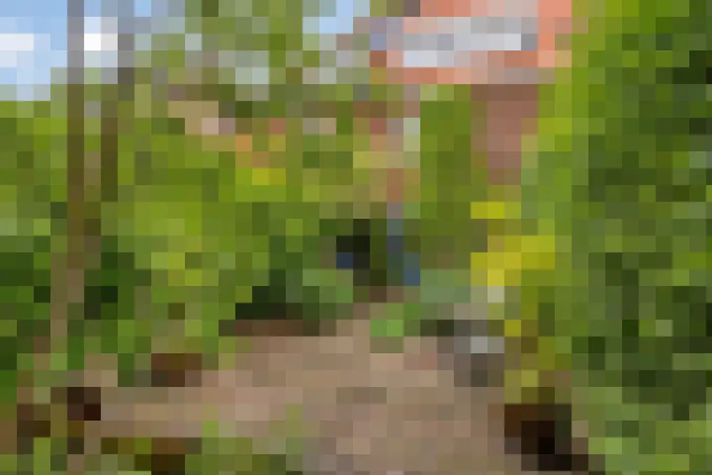 Leenderweg 190 Eindhoven thumbnail 67