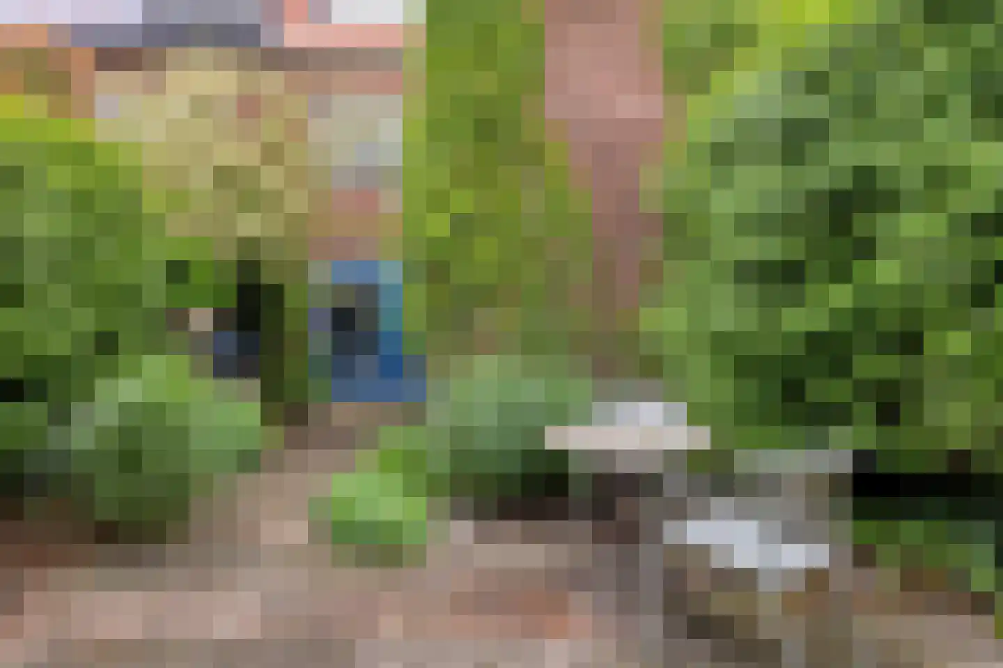 Leenderweg 190 Eindhoven thumbnail 68