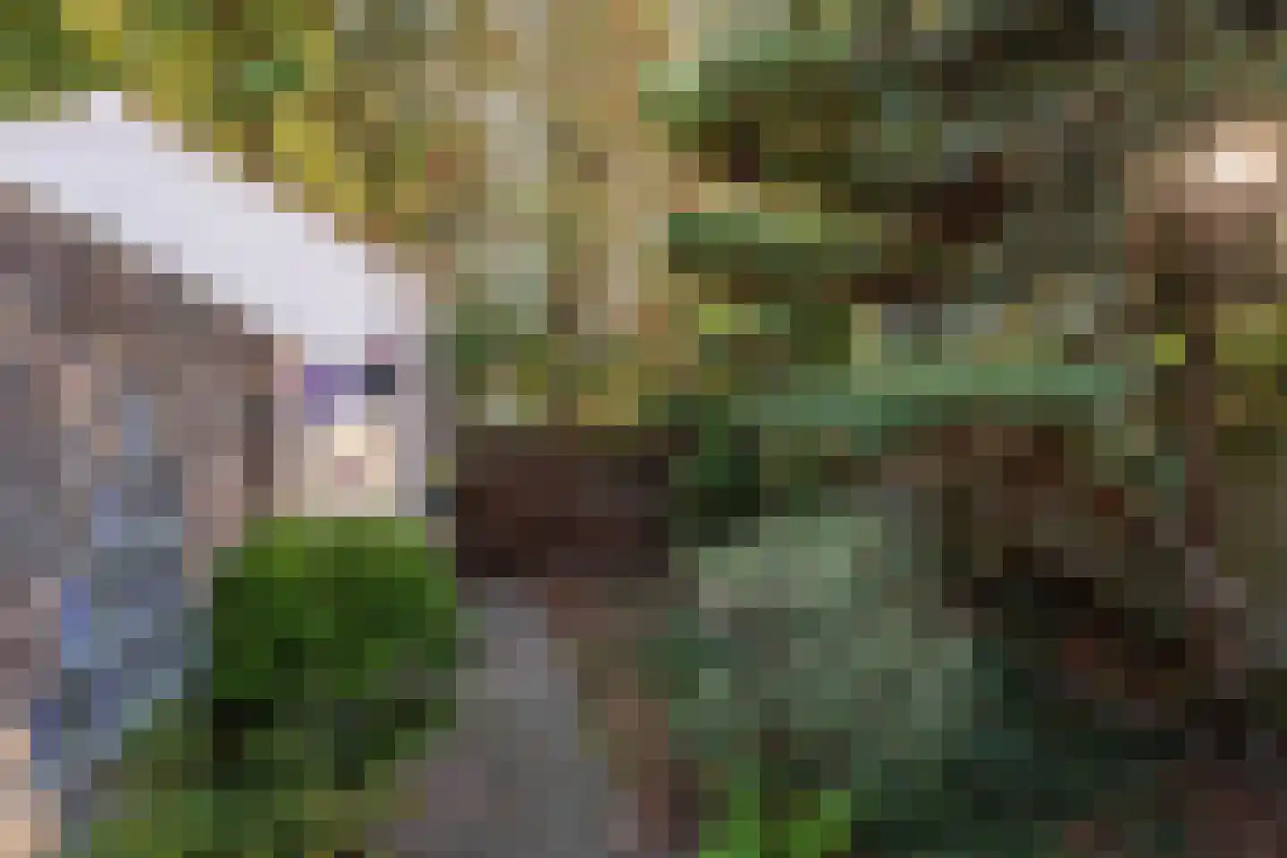 Leenderweg 225 Eindhoven thumbnail 28