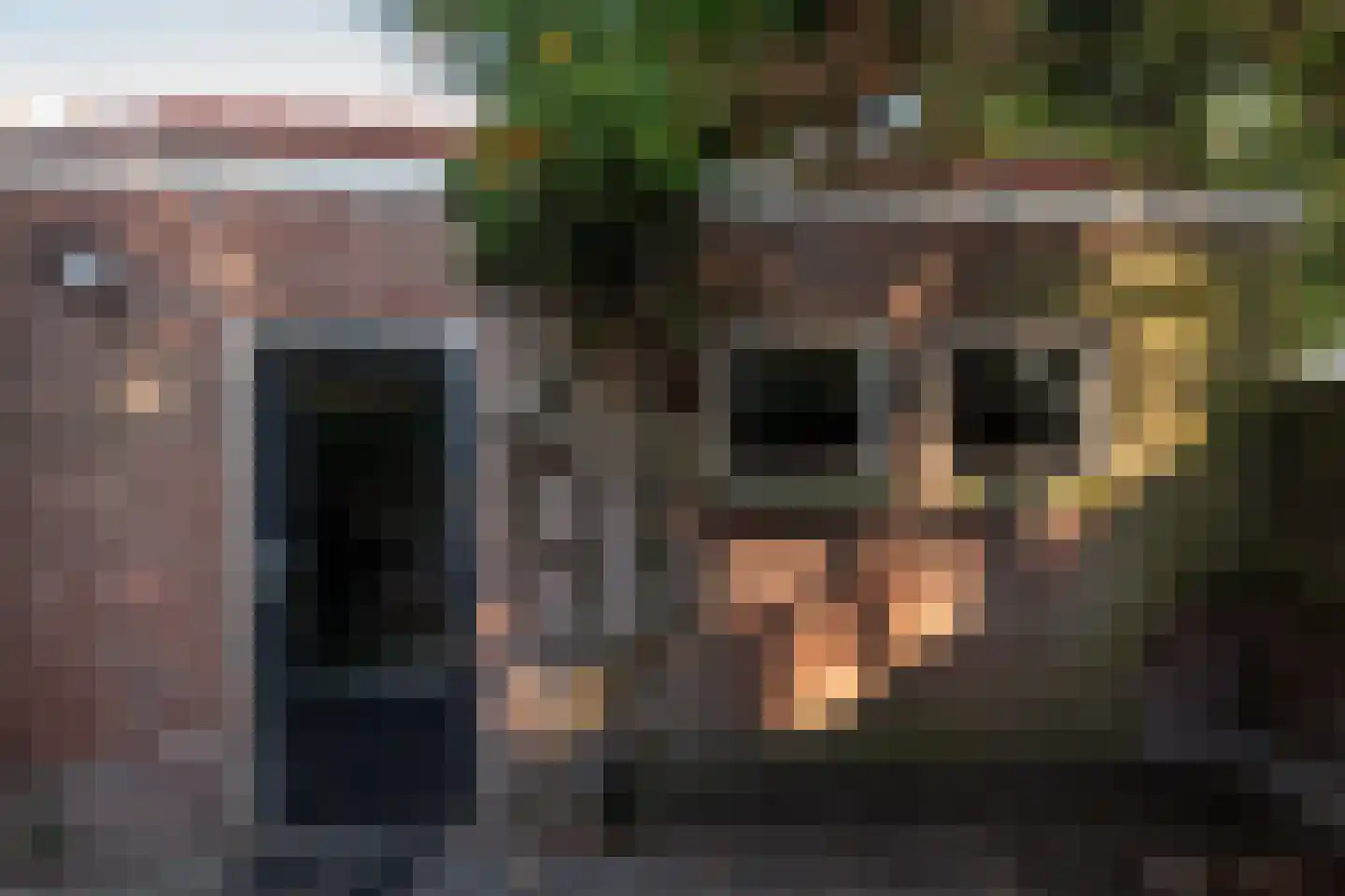 Leenderweg 225 Eindhoven thumbnail 30