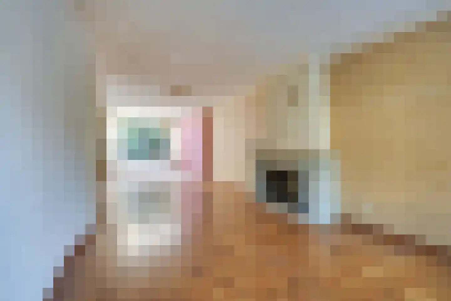 Leenderweg 225 Eindhoven thumbnail 9