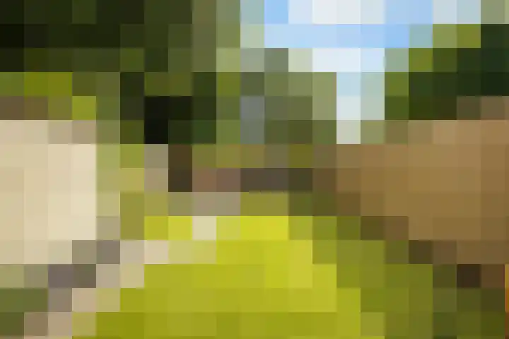 Leenderweg 235 Eindhoven thumbnail 30