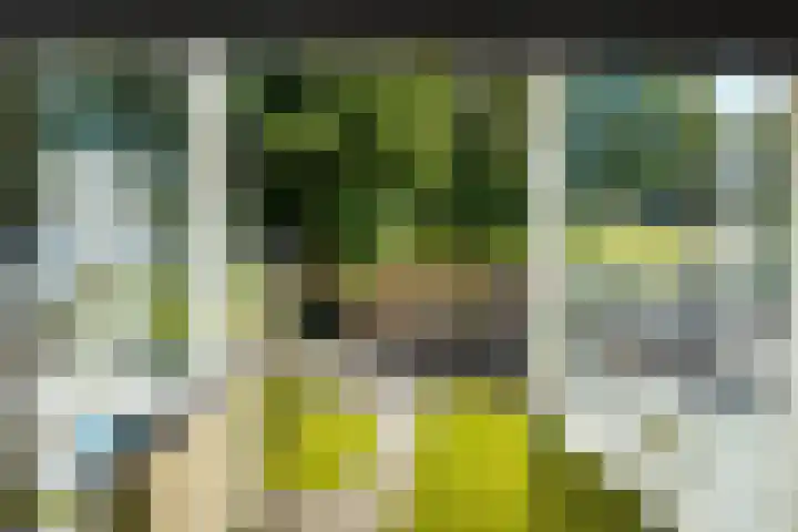 Leenderweg 235 Eindhoven thumbnail 49