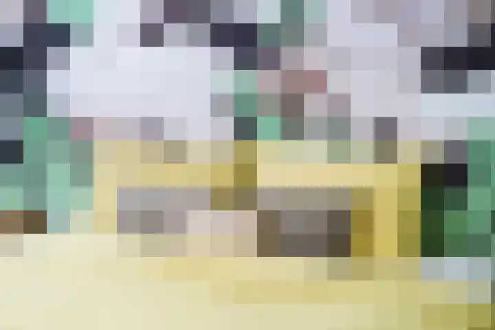 Leenderweg 235 Eindhoven thumbnail 51