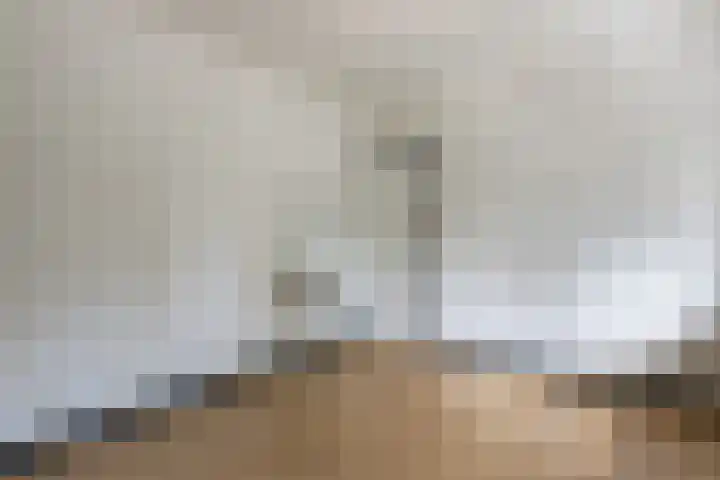 Leenderweg 243 Eindhoven thumbnail 12