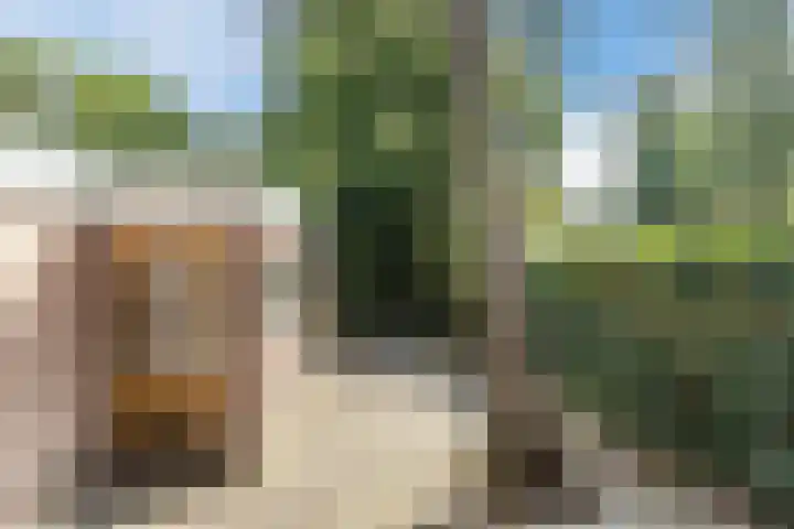 Leenderweg 243 Eindhoven thumbnail 24