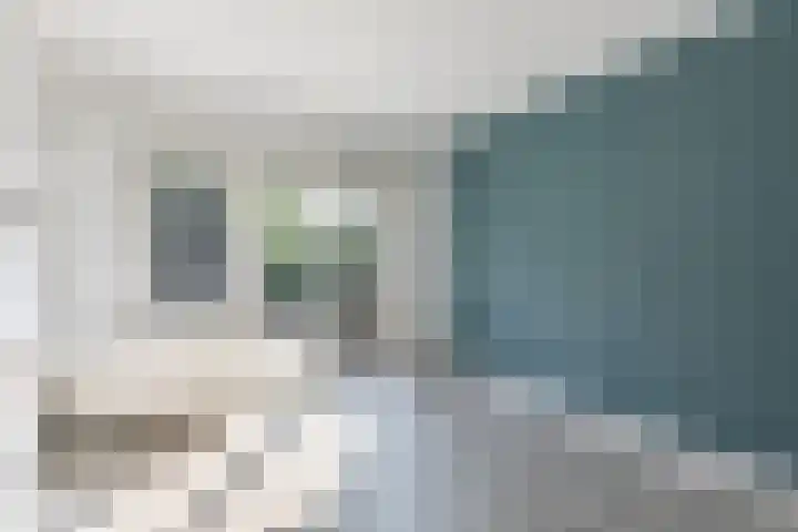 Leenderweg 243 Eindhoven thumbnail 4