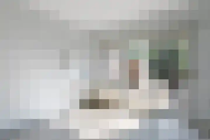 Leenderweg 243 Eindhoven thumbnail 6