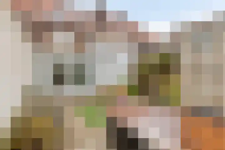 Leenderweg 276 Eindhoven thumbnail 45