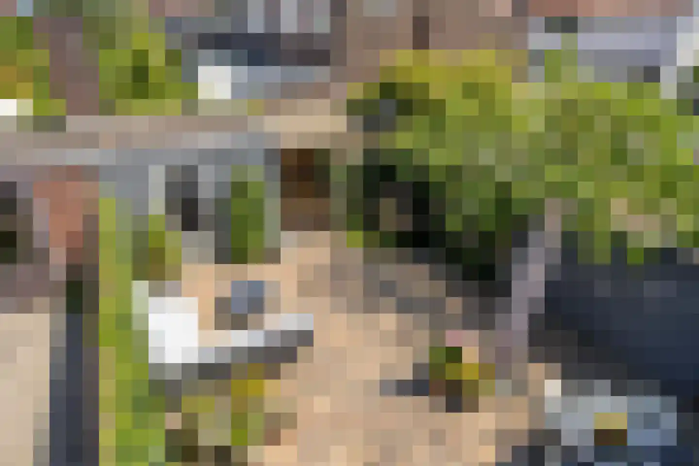 Leenderweg 325 Eindhoven thumbnail 20