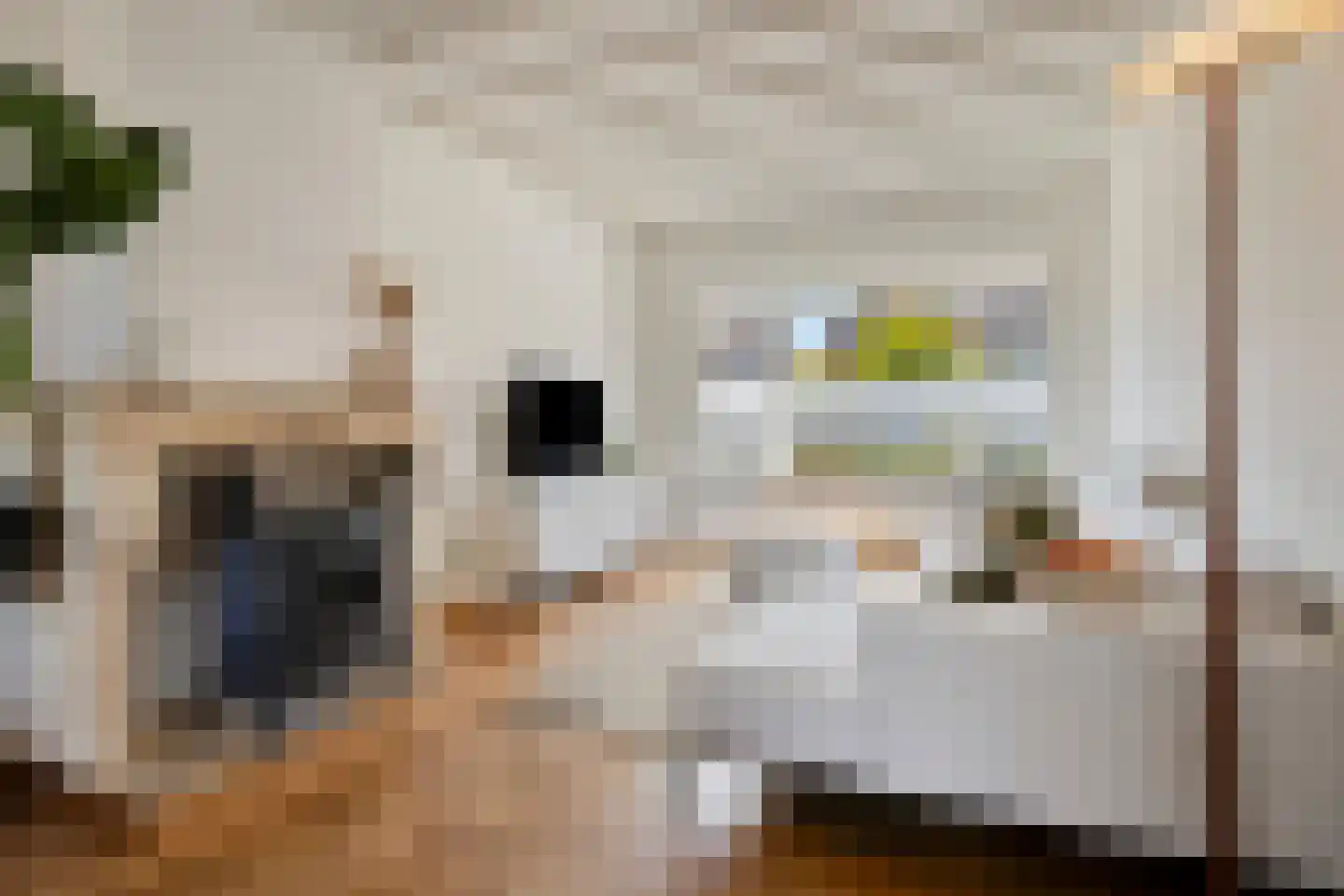 Leenderweg 325 Eindhoven thumbnail 5
