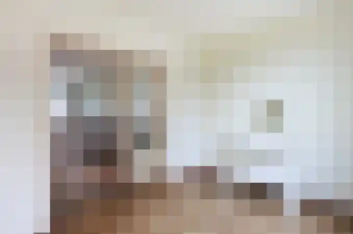 Leenderweg 341 Eindhoven thumbnail 17
