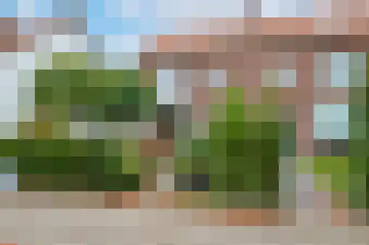 Leenderweg 341 Eindhoven thumbnail 5