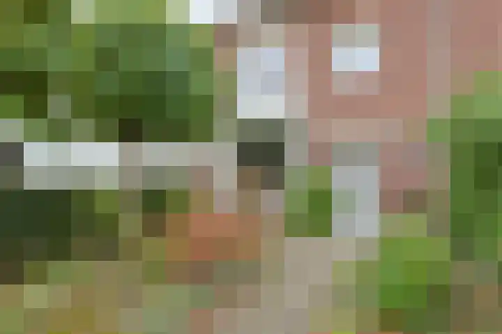 Leenderweg 341 Eindhoven thumbnail 6