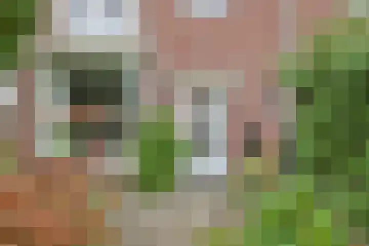 Leenderweg 341 Eindhoven thumbnail 7