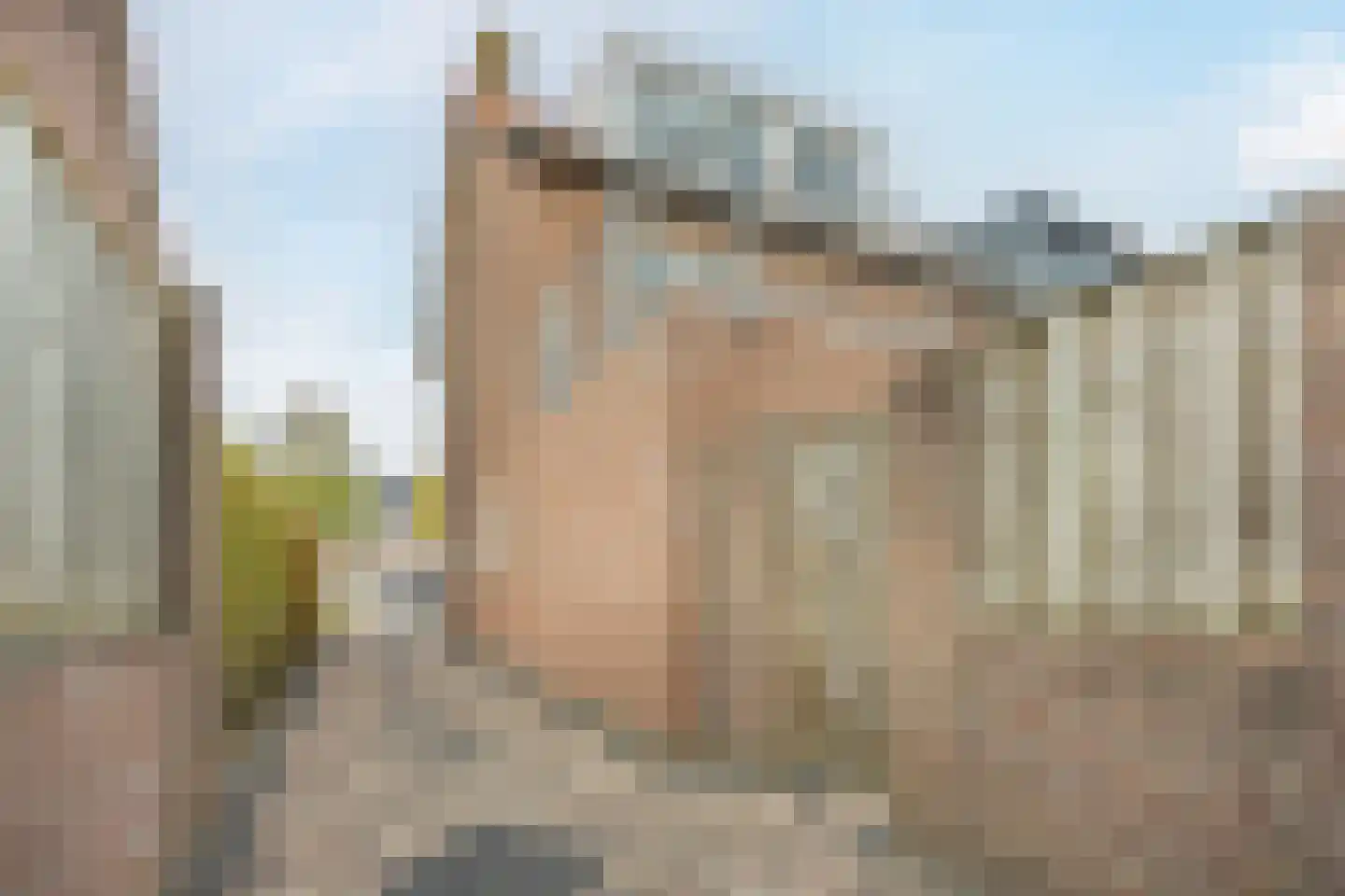 Leenderweg 347 Eindhoven thumbnail 34