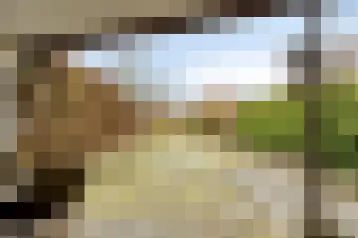 Leenderweg 38 Heeze thumbnail 32