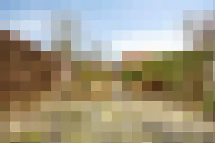 Leenderweg 38 Heeze thumbnail 5