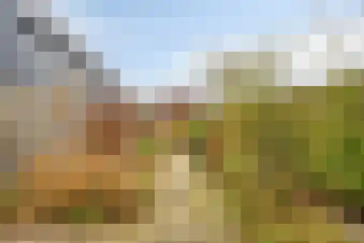 Leenderweg 38 Heeze thumbnail 6