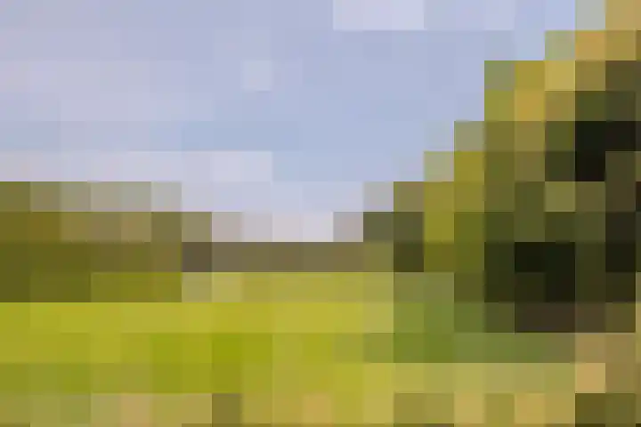 Leenderweg 44 Heeze thumbnail 30