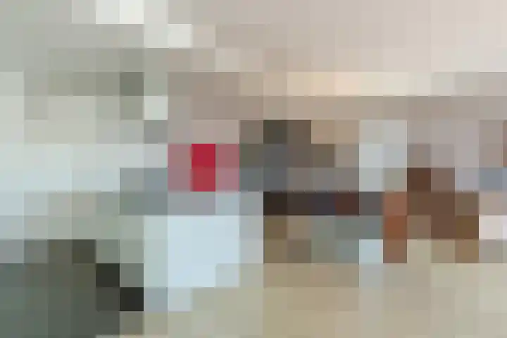 Leenderweg 62 Eindhoven thumbnail 10