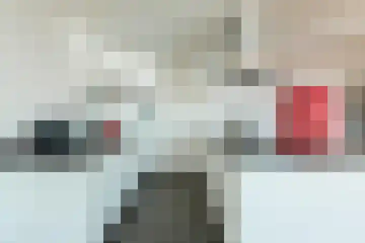 Leenderweg 62 Eindhoven thumbnail 8