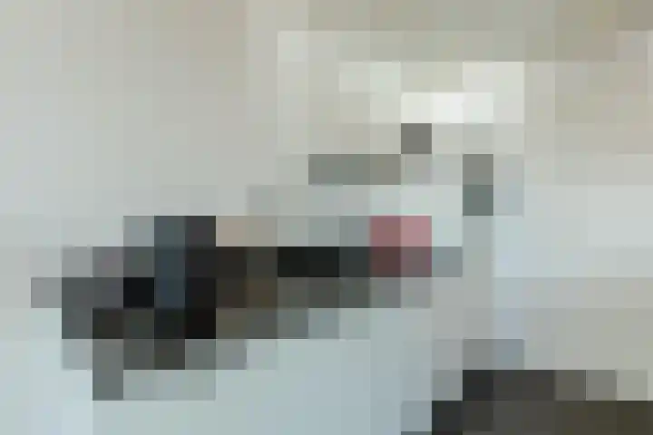 Leenderweg 62 Eindhoven thumbnail 9