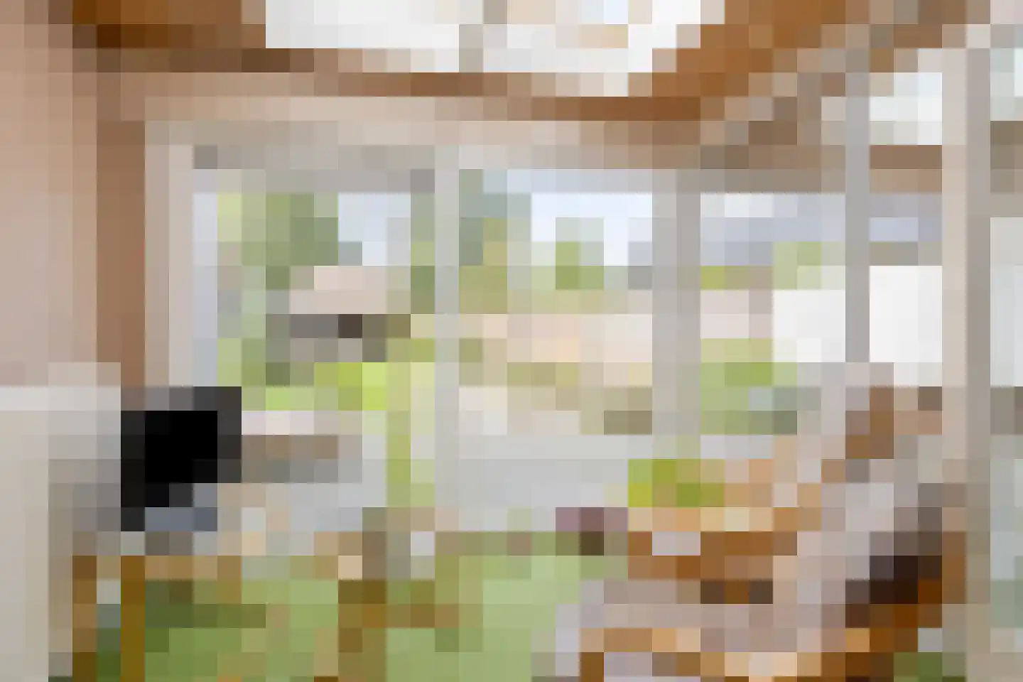 Leenderweg 8 Heeze thumbnail 14