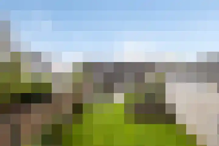 Leenderweg 8 Heeze thumbnail 27