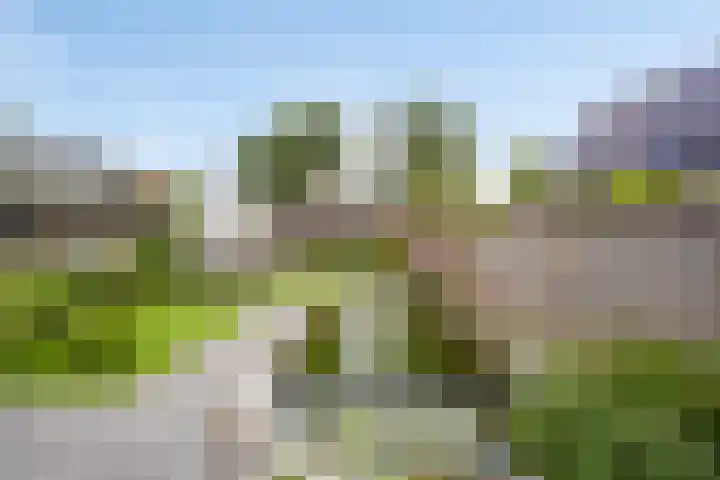 Leenderweg 8 Heeze thumbnail 30