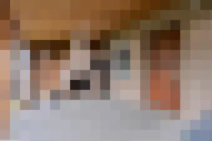 Leenderweg 8 Heeze thumbnail 32