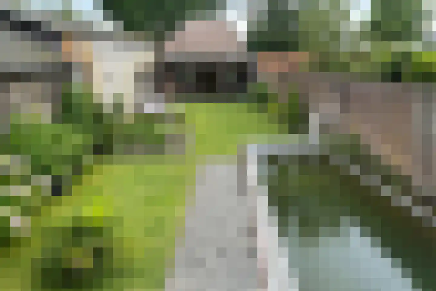 Leenderweg 8 Heeze thumbnail 33